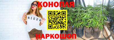 трава Камышлов