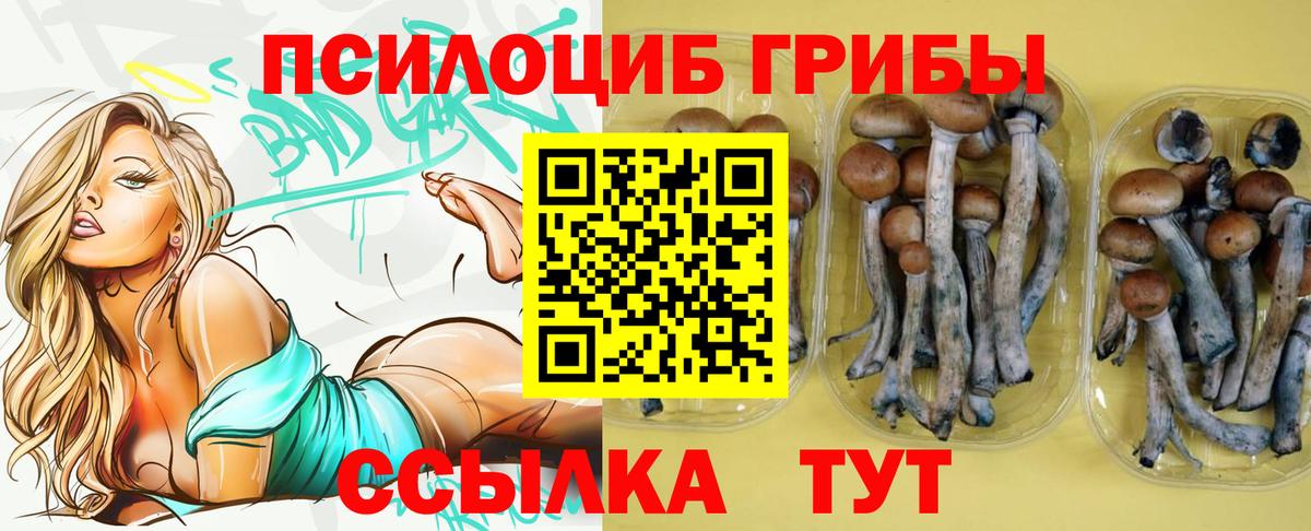  COCAIN Кубинка